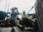 Mom Sailing To St. Thomas